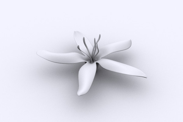 coffee flower 3ds - Coffee Flower by DigiDom Studios